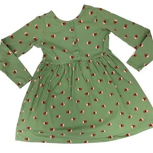 Hanna Andersson Girl Green Long Sleeve Red Pink Flower Skater Dress 140cm 10